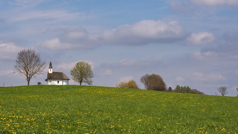 Traveler in a Meadow